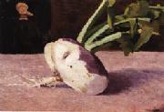 Odilon Redon Celery Root Sweden oil painting reproduction